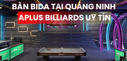 BÀN BIDA TẠI QUẢNG NINH